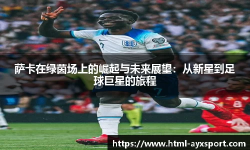 爱游戏体育